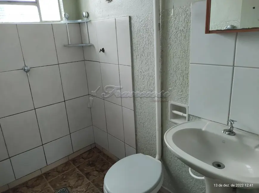 Casa com 2 quartos à venda, 213m2 em Vila Rocha, Itapetininga - SP - imagem 5 Foto 5 de Casa com 2 quartos à venda, 213m2 em Vila Rocha, Itapetininga - SP