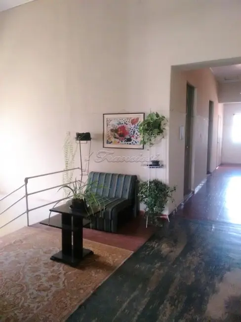 Loja para alugar, 1000m2 em Centro, Itapetininga - SP - imagem 8 Foto 8 de Loja para alugar, 1000m2 em Centro, Itapetininga - SP