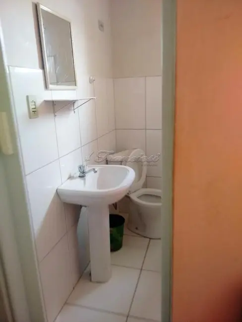 Loja para alugar, 1000m2 em Centro, Itapetininga - SP - imagem 5 Foto 5 de Loja para alugar, 1000m2 em Centro, Itapetininga - SP