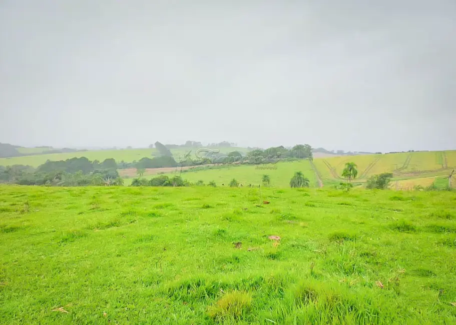Foto 4 de Fazenda / Haras à venda, 212500m2 em Centro, Capao Bonito - SP