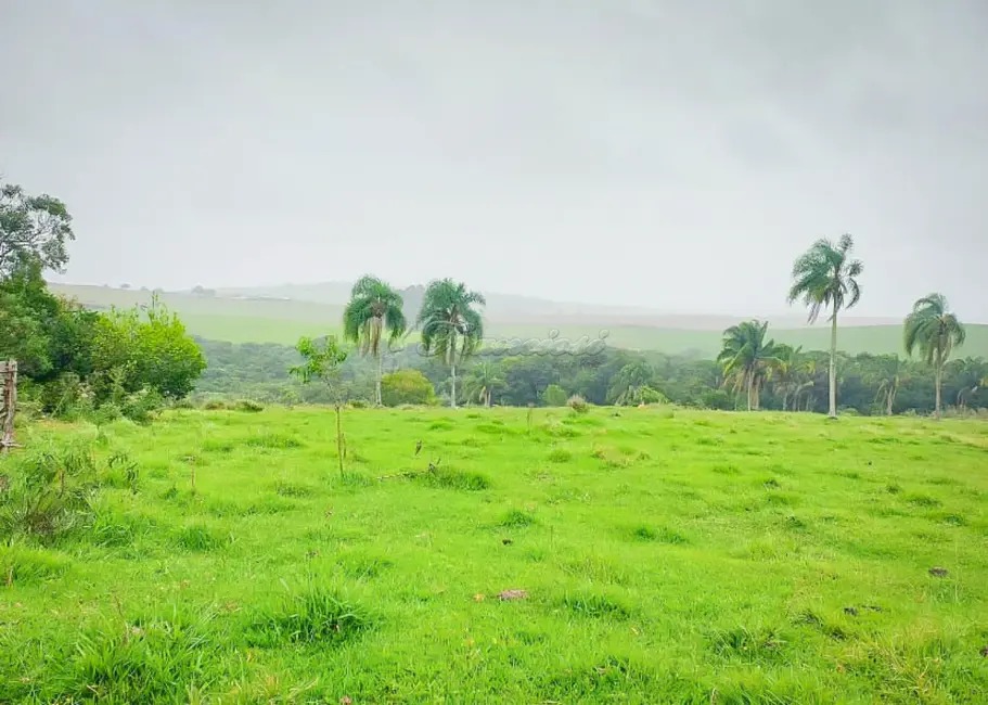 Foto 5 de Fazenda / Haras à venda, 212500m2 em Centro, Capao Bonito - SP