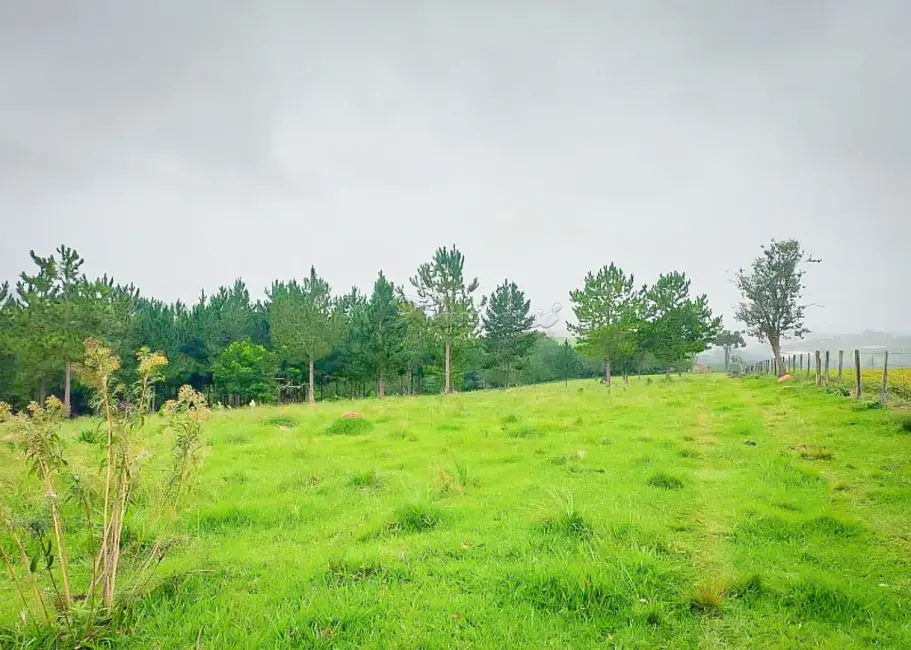 Foto 6 de Fazenda / Haras à venda, 212500m2 em Centro, Capao Bonito - SP
