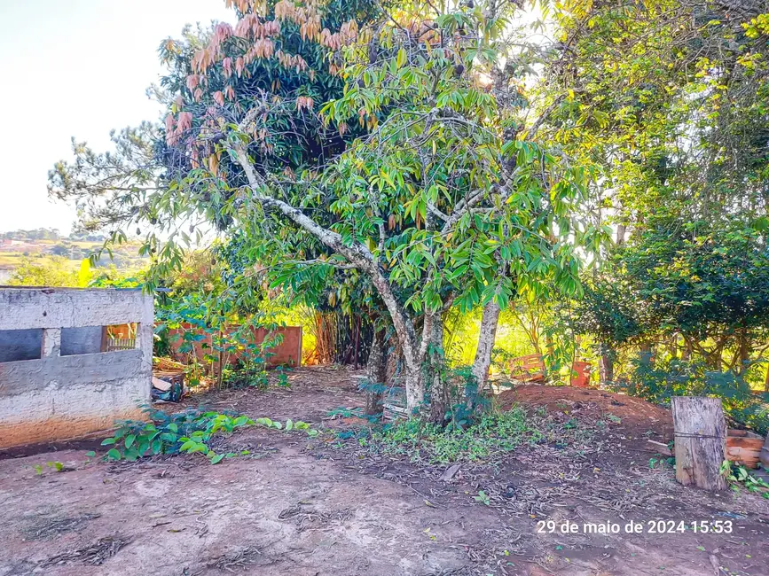 Fazenda / Haras para alugar, 3000m2 em Mato Seco, Itapetininga - SP - imagem 9 Foto 9 de Fazenda / Haras para alugar, 3000m2 em Mato Seco, Itapetininga - SP