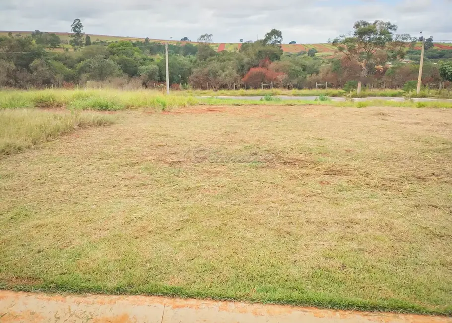 Foto 1 de Fazenda / Haras à venda, 150m2 em Itapetininga - SP