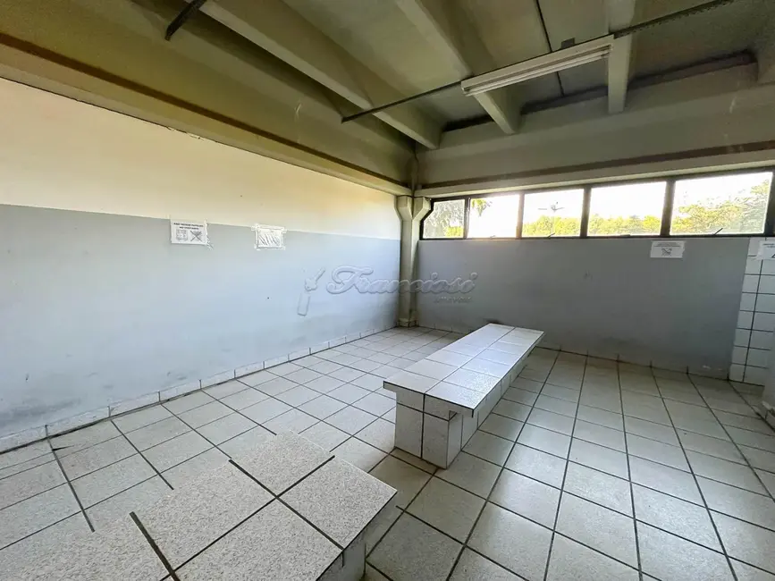 Foto 7 de Sala Comercial para alugar, 3825m2 em Jardim Bela Vista, Itapetininga - SP