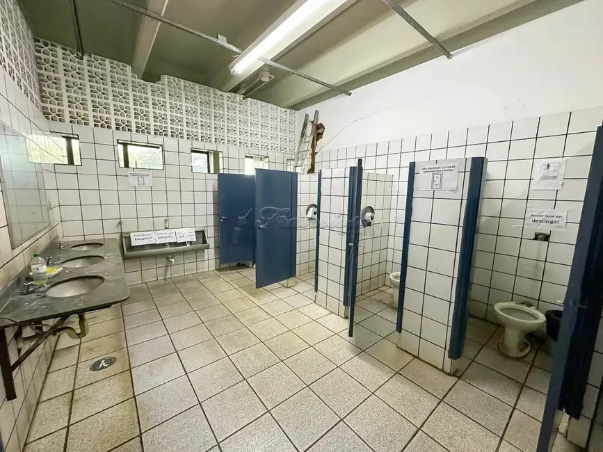 Foto 8 de Sala Comercial para alugar, 3825m2 em Jardim Bela Vista, Itapetininga - SP