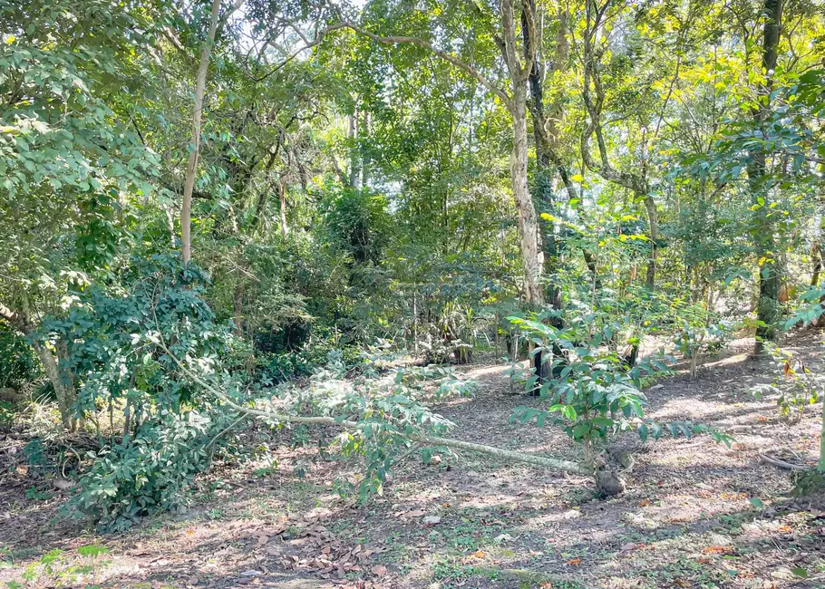 Chácara à venda, 17621m2 em Alambari - SP - imagem 30 Foto 30 de Chácara à venda, 17621m2 em Alambari - SP