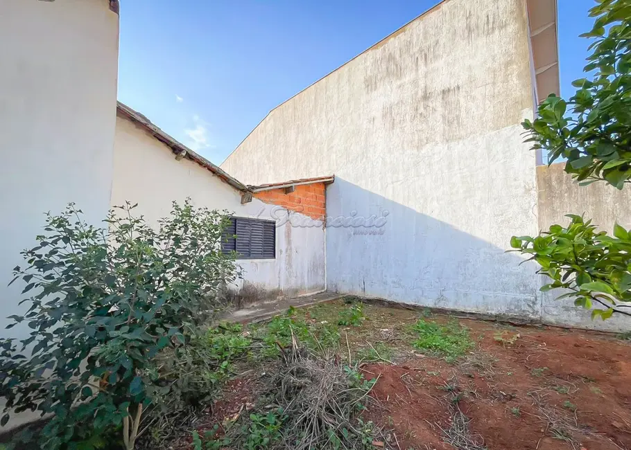 Casa com 2 quartos à venda, 67m2 em Vila Esplanada, Itapetininga - SP - imagem 6 Foto 6 de Casa com 2 quartos à venda, 67m2 em Vila Esplanada, Itapetininga - SP