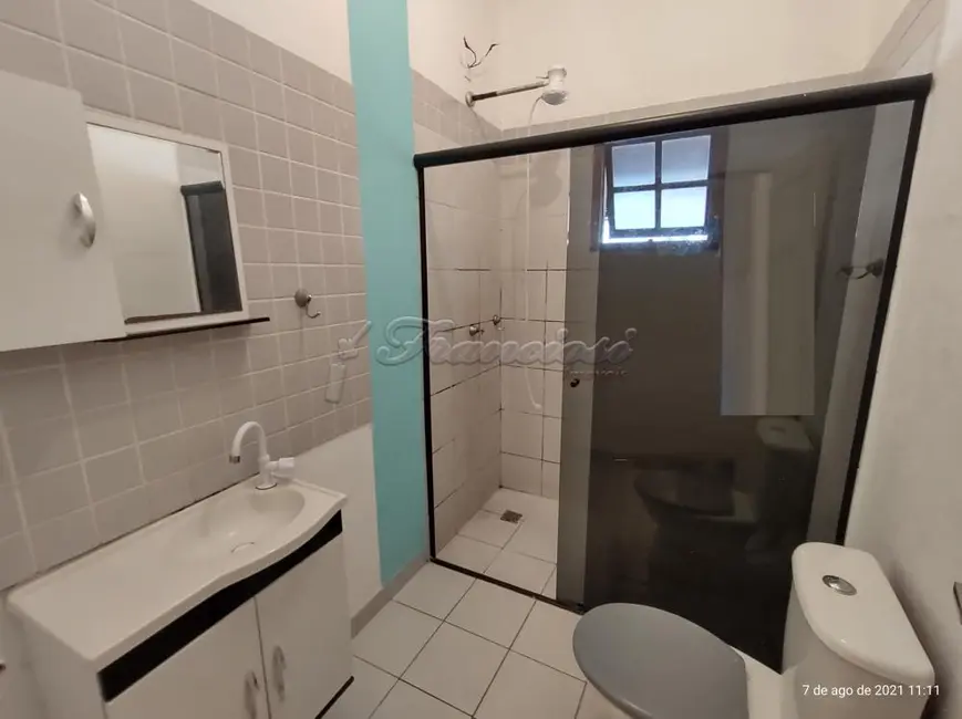 Casa com 3 quartos para alugar, 153m2 em Centro, Itapetininga - SP - imagem 3 Foto 3 de Casa com 3 quartos para alugar, 153m2 em Centro, Itapetininga - SP
