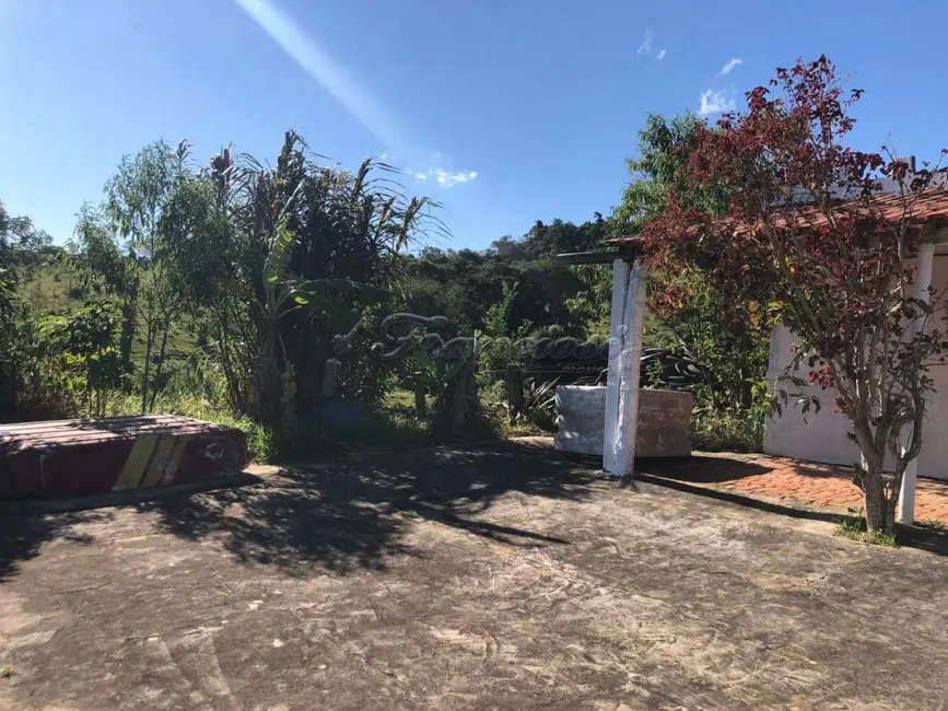 Foto 1 de Fazenda / Haras com 1 quarto à venda, 54000m2 em Itapetininga - SP
