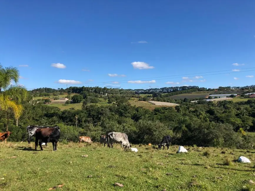 Foto 4 de Fazenda / Haras com 1 quarto à venda, 54000m2 em Itapetininga - SP