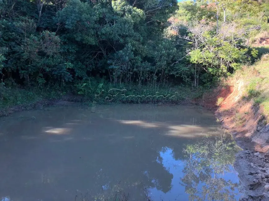 Foto 8 de Fazenda / Haras com 1 quarto à venda, 54000m2 em Itapetininga - SP