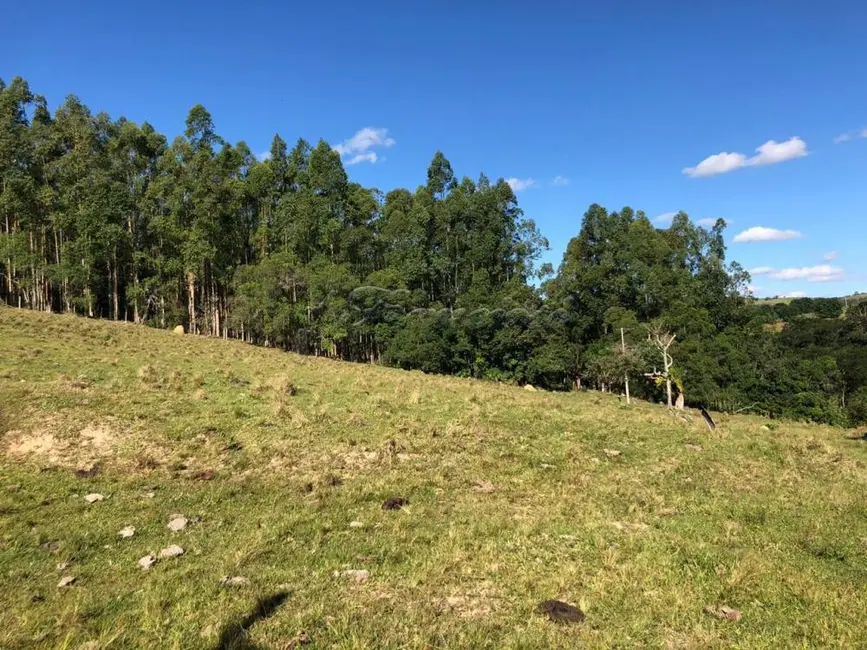 Foto 3 de Fazenda / Haras com 1 quarto à venda, 54000m2 em Itapetininga - SP