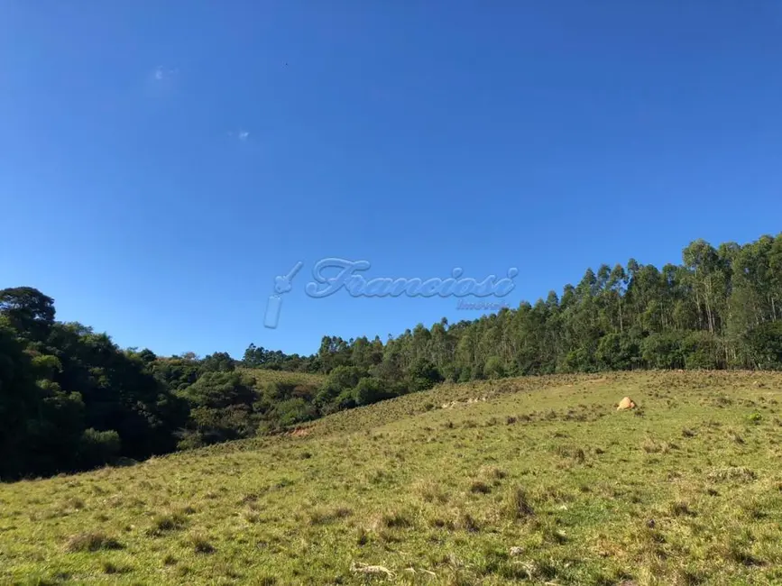 Foto 6 de Fazenda / Haras com 1 quarto à venda, 54000m2 em Itapetininga - SP