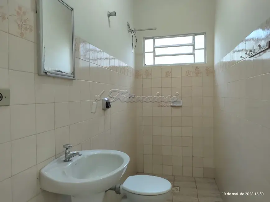 Foto 6 de Loja com 3 quartos para alugar, 116m2 em Centro, Itapetininga - SP