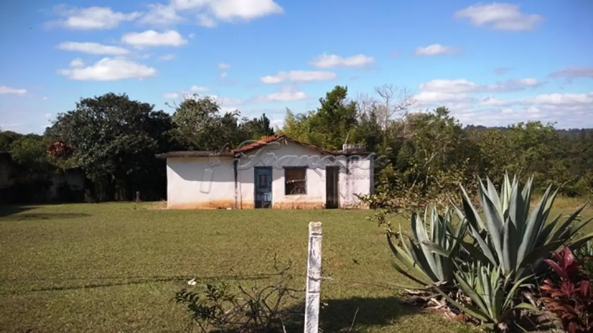 Fazenda / Haras à venda, 6000m2 em Itapetininga - SP - imagem 2 Foto 2 de Fazenda / Haras à venda, 6000m2 em Itapetininga - SP