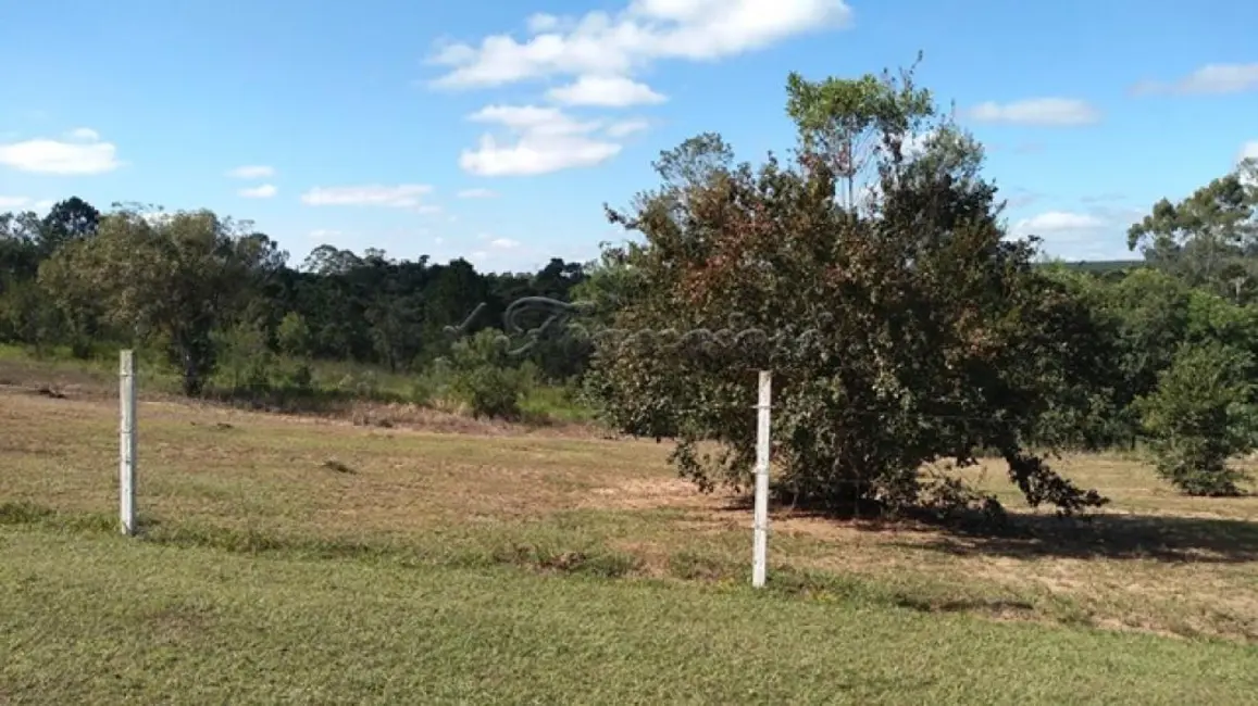 Fazenda / Haras à venda, 6000m2 em Itapetininga - SP - imagem 6 Foto 6 de Fazenda / Haras à venda, 6000m2 em Itapetininga - SP