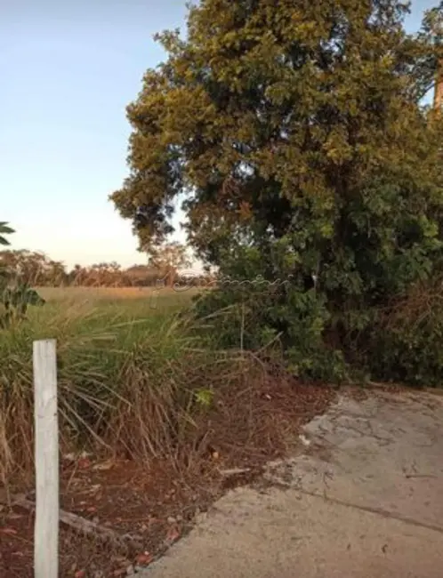 Foto 2 de Fazenda / Haras à venda, 3550m2 em Tupy, Itapetininga - SP