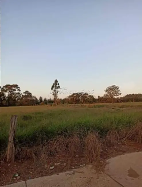 Foto 1 de Fazenda / Haras à venda, 3550m2 em Tupy, Itapetininga - SP