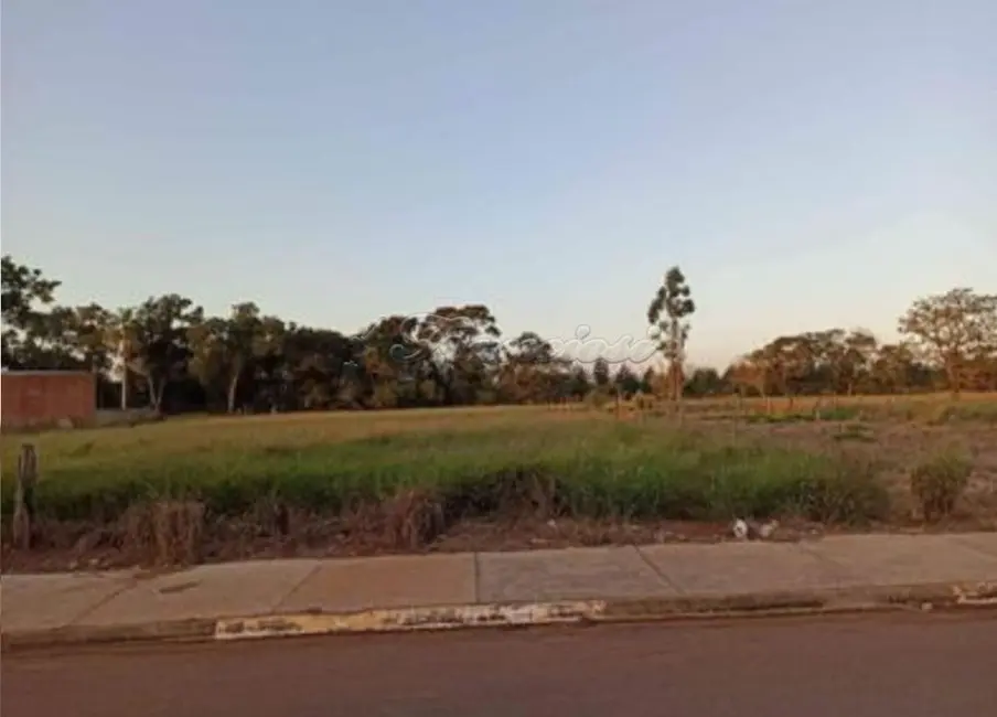 Foto 2 de Fazenda / Haras à venda, 1000m2 em Tupy, Itapetininga - SP