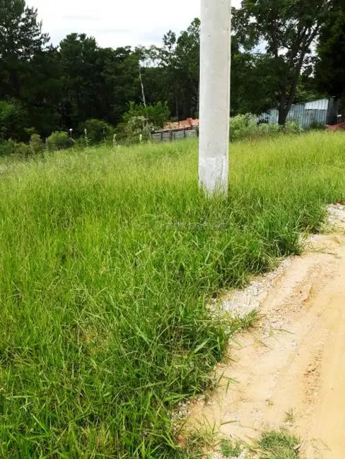 Terreno / Lote à venda, 780m2 em Alambari - SP - imagem 3 Foto 3 de Terreno / Lote à venda, 780m2 em Alambari - SP