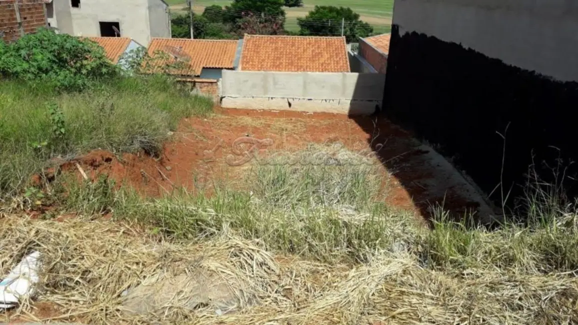 Foto 2 de Fazenda / Haras à venda, 150m2 em Jardim Santa Inêz, Itapetininga - SP