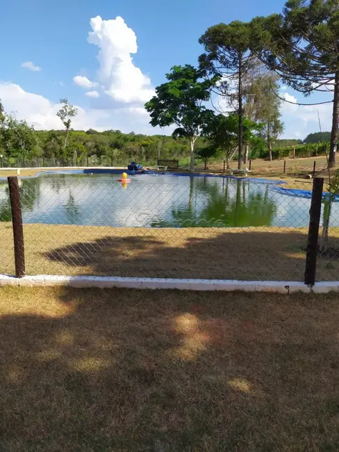 Foto 1 de Fazenda / Haras com 5 quartos à venda, 464m2 em Paranapanema - SP