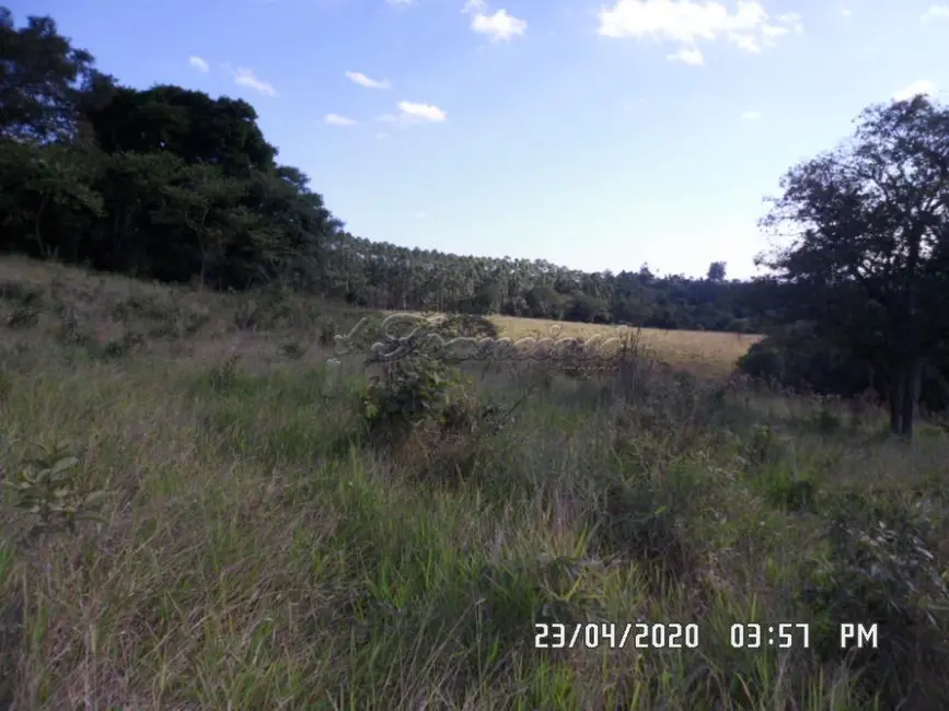 Foto 3 de Fazenda / Haras à venda, 242000m2 em Campina Do Monte Alegre - SP