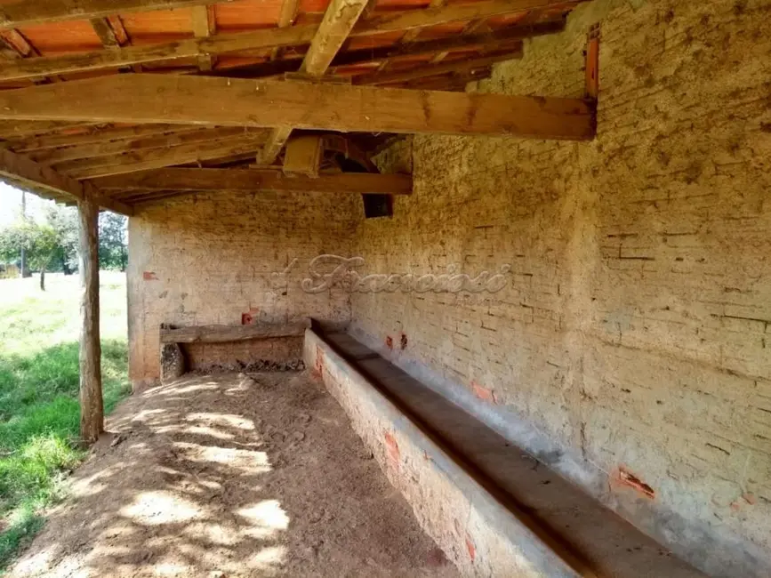 Foto 6 de Fazenda / Haras com 4 quartos à venda, 309200m2 em Itapetininga - SP