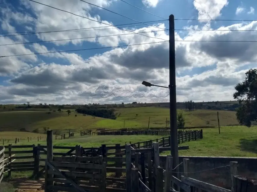 Foto 5 de Fazenda / Haras com 4 quartos à venda, 309200m2 em Itapetininga - SP