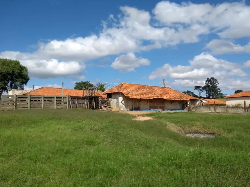 Foto 7 de Fazenda / Haras com 4 quartos à venda, 309200m2 em Itapetininga - SP