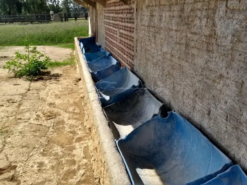 Foto 8 de Fazenda / Haras com 4 quartos à venda, 309200m2 em Itapetininga - SP