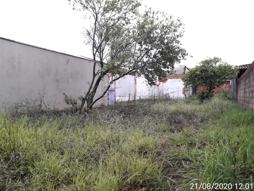 Fazenda / Haras para alugar, 500m2 em Centro, Itapetininga - SP - imagem 2 Foto 2 de Fazenda / Haras para alugar, 500m2 em Centro, Itapetininga - SP