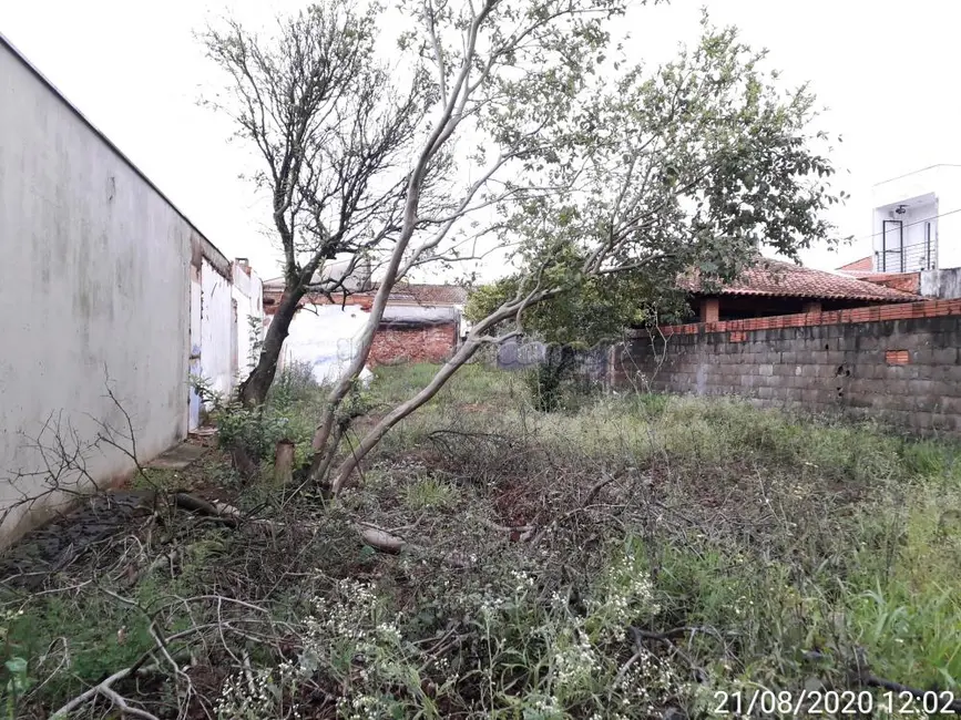 Fazenda / Haras para alugar, 500m2 em Centro, Itapetininga - SP - imagem 3 Foto 3 de Fazenda / Haras para alugar, 500m2 em Centro, Itapetininga - SP
