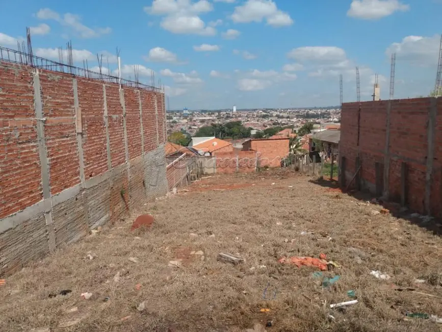 Fazenda / Haras à venda, 400m2 em Vila Belo Horizonte, Itapetininga - SP - imagem 2 Foto 2 de Fazenda / Haras à venda, 400m2 em Vila Belo Horizonte, Itapetininga - SP