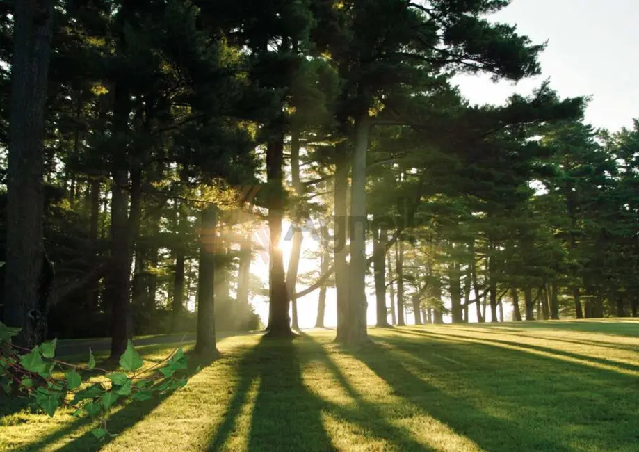 Foto 3 de Terreno / Lote à venda, 490m2 em Franca - SP