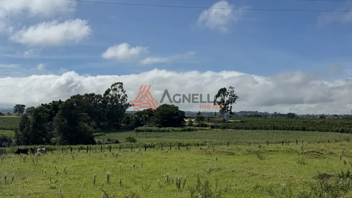 Foto 2 de Fazenda / Haras à venda, 20000m2 em Jardim Samello V, Franca - SP