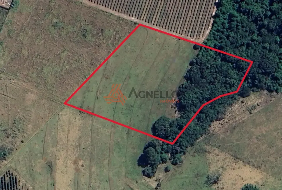 Foto 3 de Fazenda / Haras à venda, 20000m2 em Jardim Samello V, Franca - SP