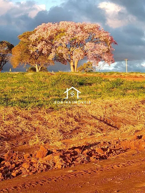 Foto 9 de Lote de Condomínio à venda, 1000m2 em Joanopolis - SP