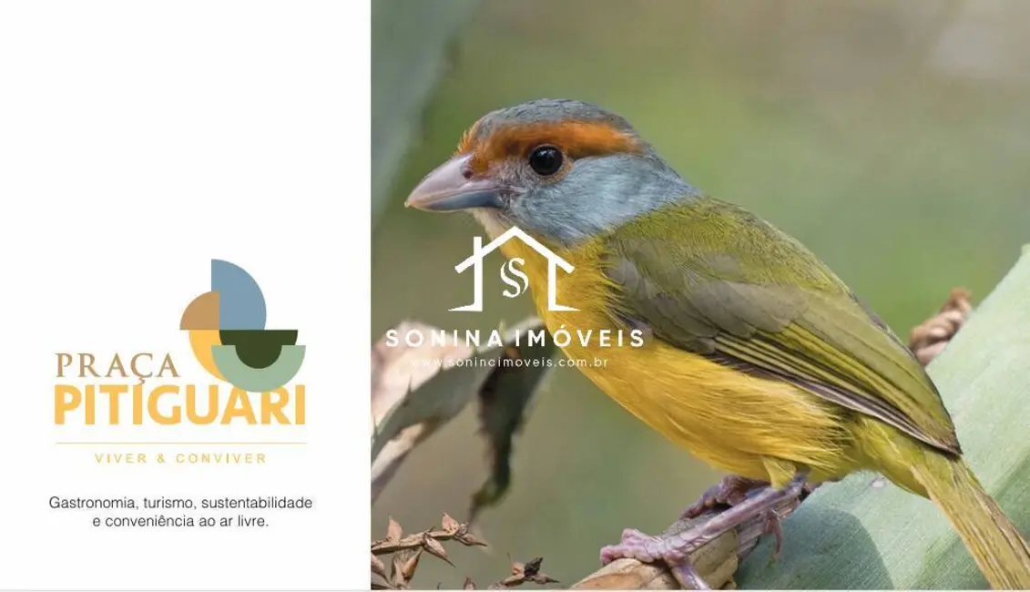 Foto 2 de Loja para alugar, 100m2 em Laranja Azeda, Atibaia - SP