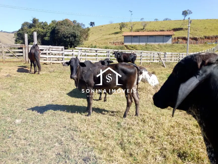 Foto 6 de Sítio / Rancho com 3 quartos à venda, 20m2 em Cambui - MG