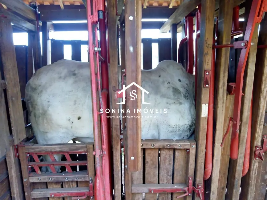 Foto 3 de Sítio / Rancho com 3 quartos à venda, 20m2 em Cambui - MG