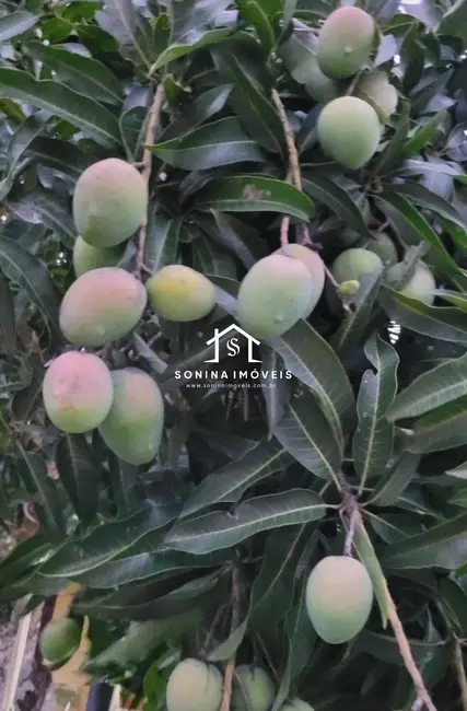 Foto 5 de Chácara com 3 quartos à venda, 230m2 em Bom Jesus Dos Perdoes - SP