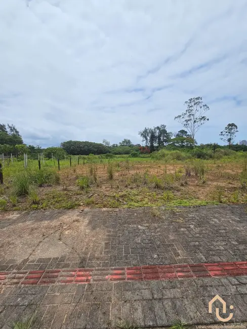 Foto 3 de Terreno / Lote à venda, 360m2 em Balneario Picarras - SC