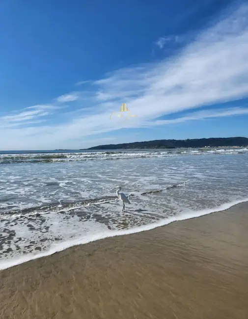 Foto 10 de Sala Comercial à venda em Palhoca - SC