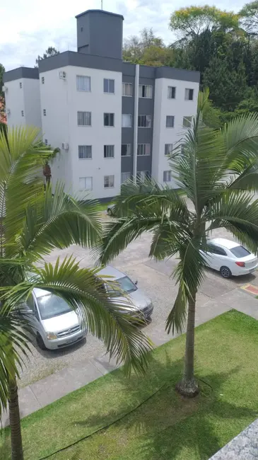 Foto 2 de Apartamento com 2 quartos à venda, 54m2 em Passa Vinte, Palhoca - SC