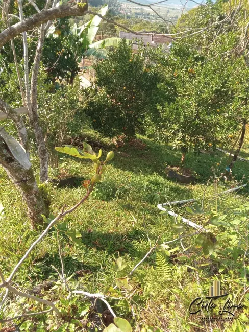 Chácara com 2 quartos à venda, 2000m2 em Fundos, Biguacu - SC - imagem 8 Foto 8 de Chácara com 2 quartos à venda, 2000m2 em Fundos, Biguacu - SC