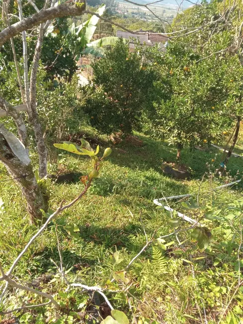 Chácara com 2 quartos à venda, 2000m2 em Fundos, Biguacu - SC - imagem 8 Foto 8 de Chácara com 2 quartos à venda, 2000m2 em Fundos, Biguacu - SC