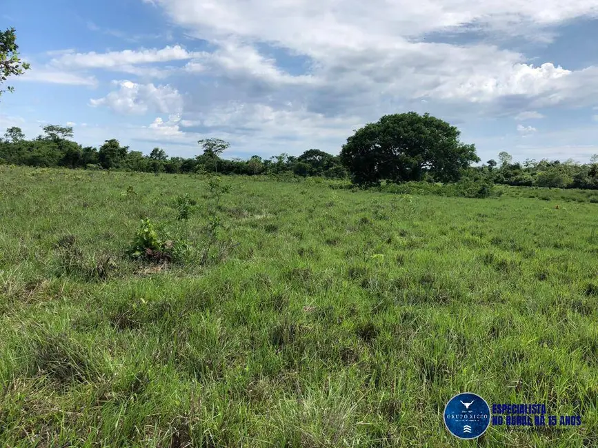 Foto 6 de Fazenda / Haras à venda, 50m2 em Porangatu - GO