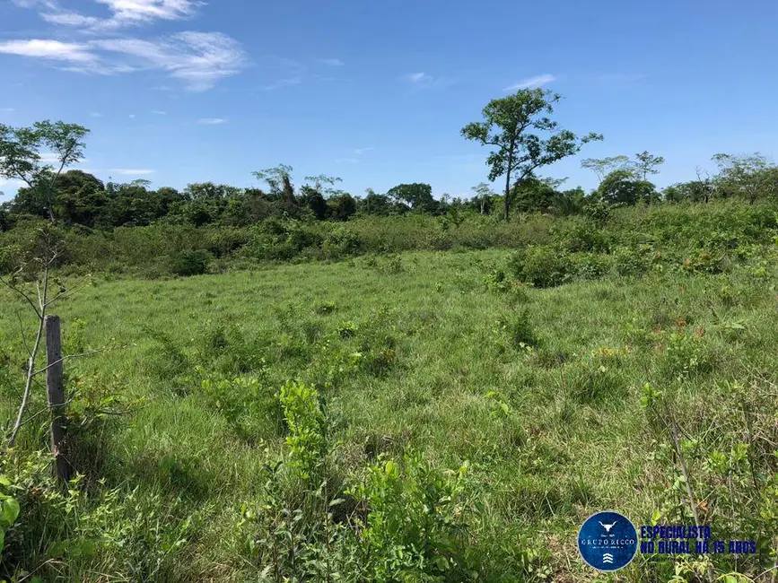 Foto 3 de Fazenda / Haras à venda, 50m2 em Porangatu - GO